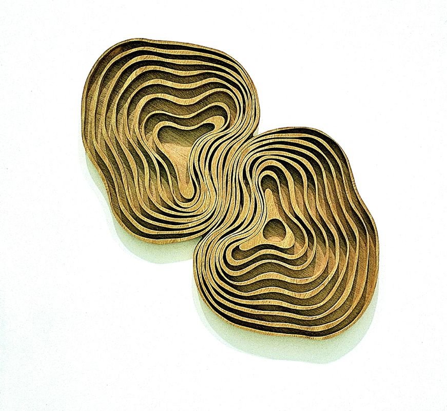 1.-Attractor-1