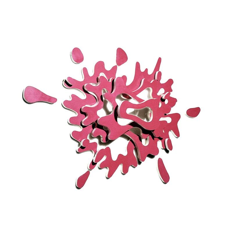 Polypolyp1